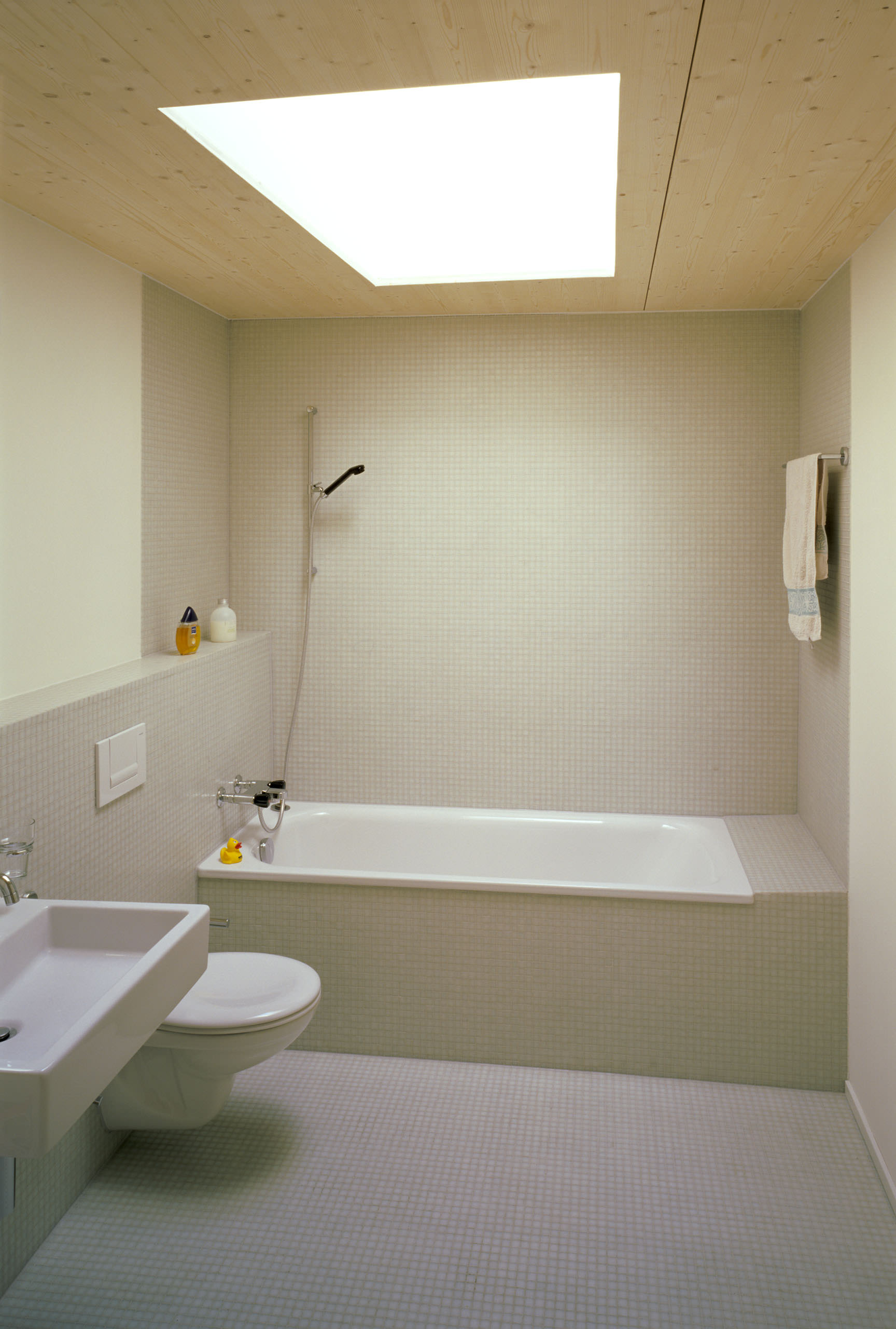 twinhouse schönenbuch